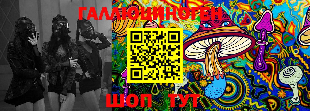 Псилоцибиновые грибы GOLDEN TEACHER Димитровград